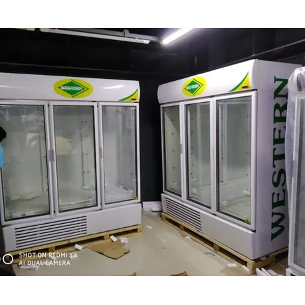 Triple Door Upright Freezer & Visi Coolers at Rs 12346 in Bengaluru