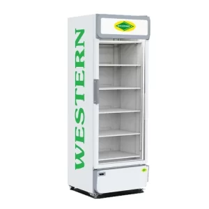 Visi Cooler Glass Door
