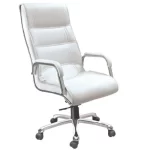 luxury leather chair